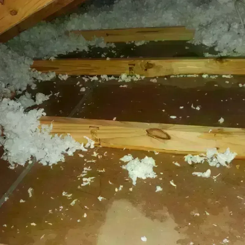 Attic Water Damage in Pierz, MN